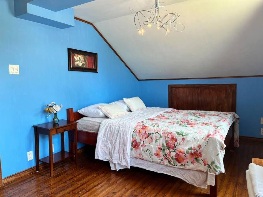 Petite Maison 2 Bedrooms 莱维斯 外观 照片